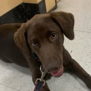 Meet your Posher, Macie